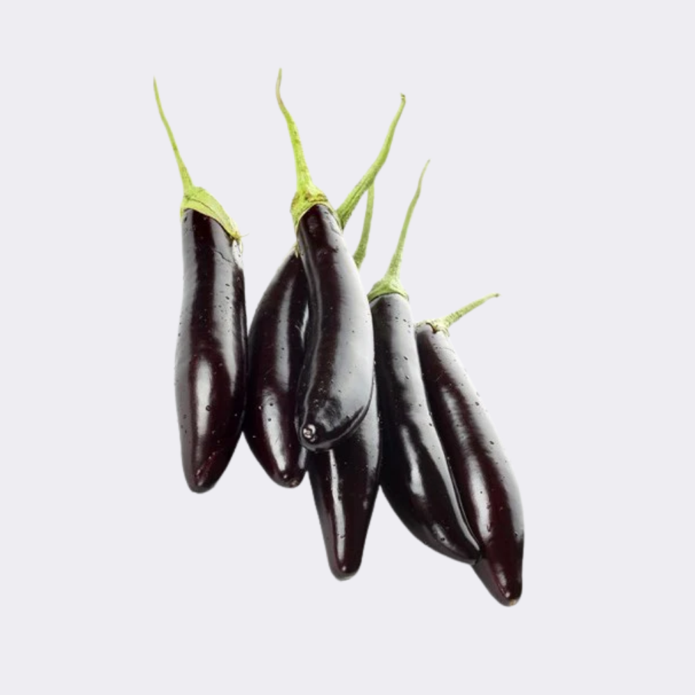 Aubergine Ravia Long 400gm