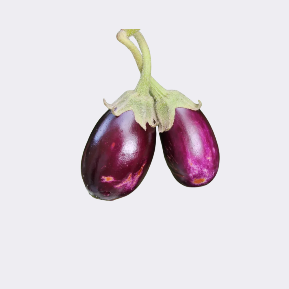 Aubergine Ravia Round Stripy 400gm