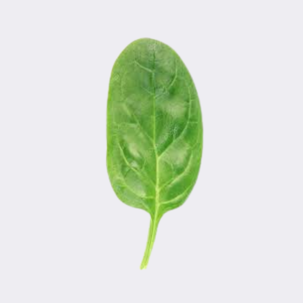 Baby Spinach (Single) - Image 2