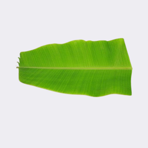Banana Leaf (Single)