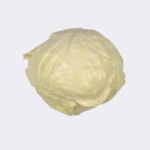 Cabbage White (Single)