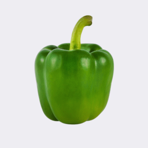 Capsicum Green Single