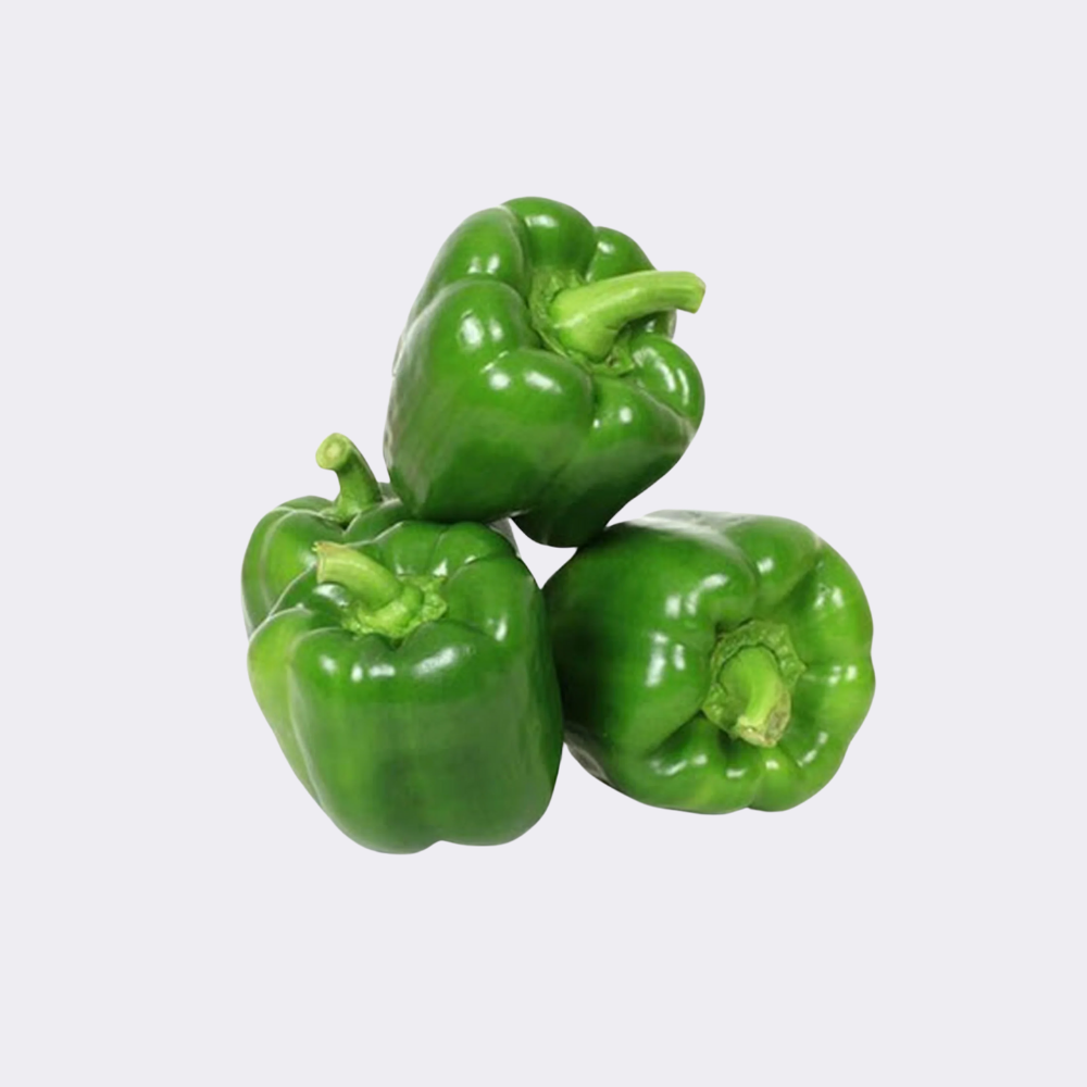 Capsicum Green Single - Image 3