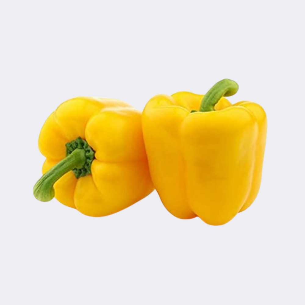 Capsicum Yellow (Single) - Image 2