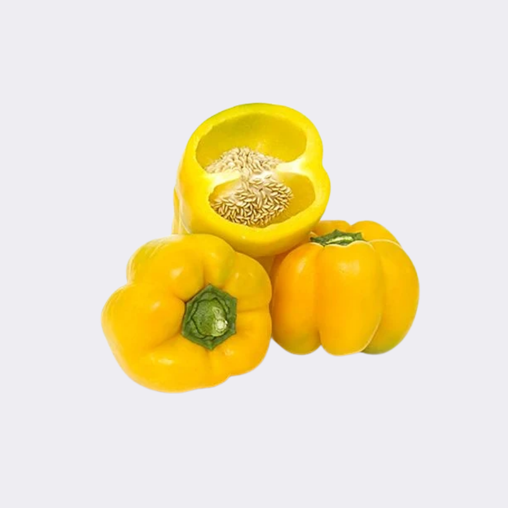 Capsicum Yellow (Single) - Image 3