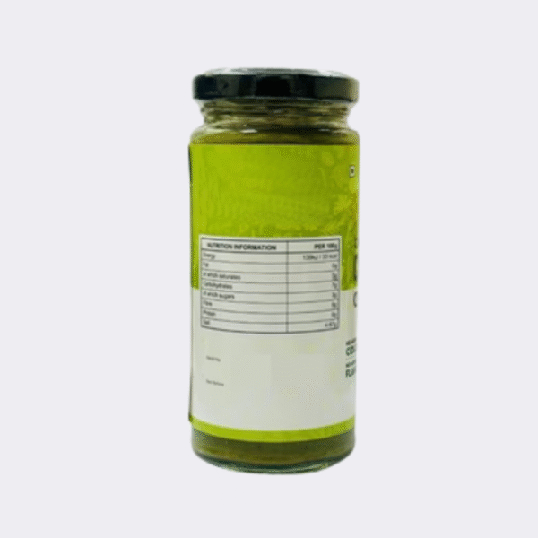 Chill Coriander Chutney - Image 3