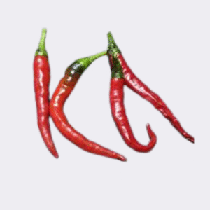 Chilli Turkish Red (Single)