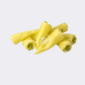 Chilli Turkish White (Single)