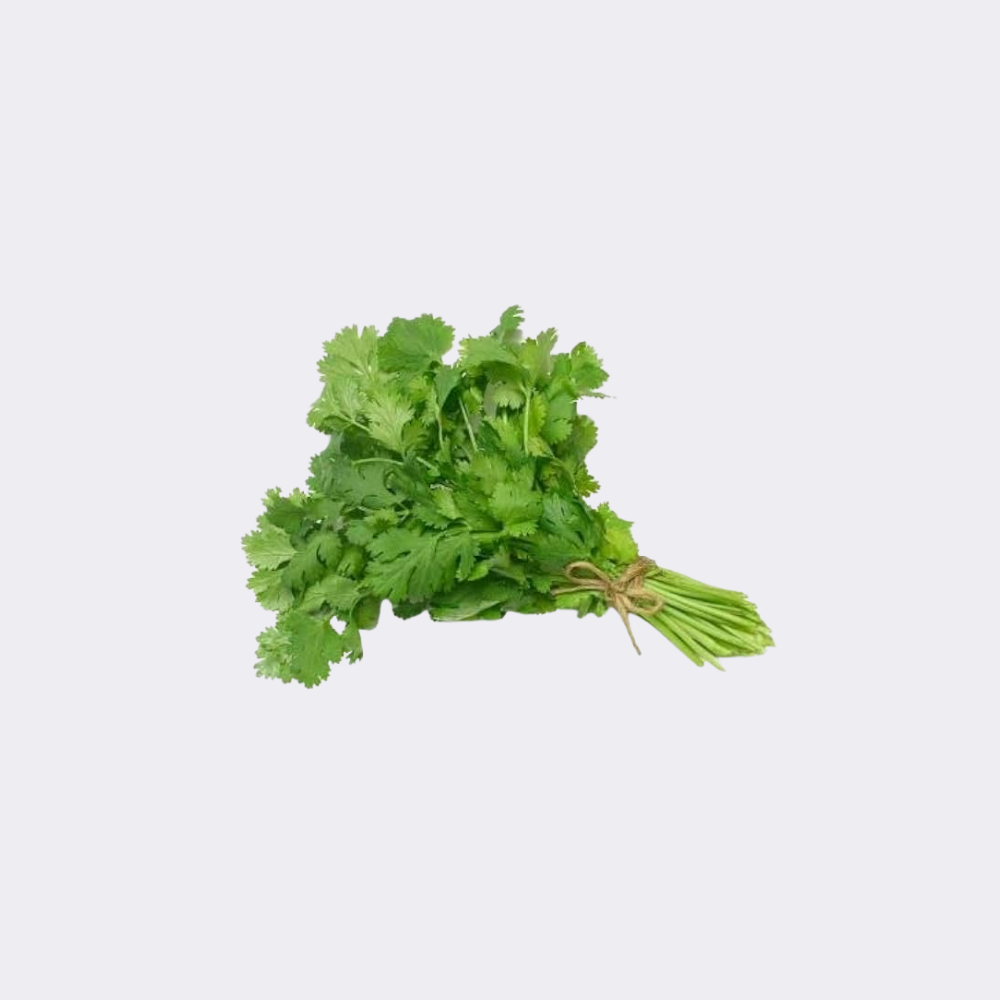 Coriander