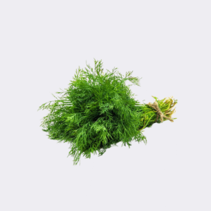 Dill Bunch (Single)