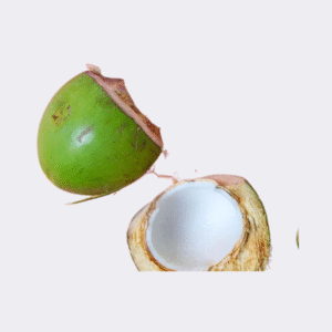 Jelly Coconut (Single)