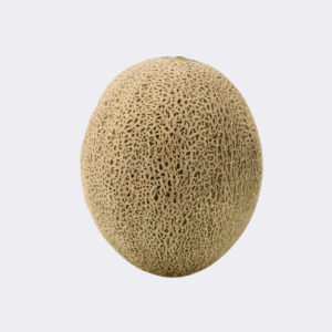 Melon Cantoloupe (Single)