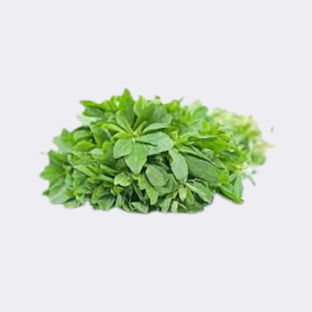 Methi Bunch - Image 2