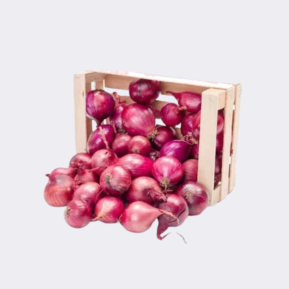 Onion Red - Image 6