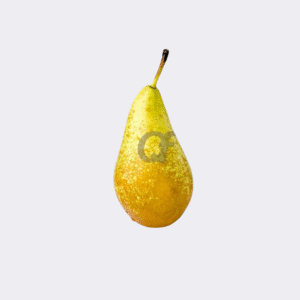 Pears Conference (Single)