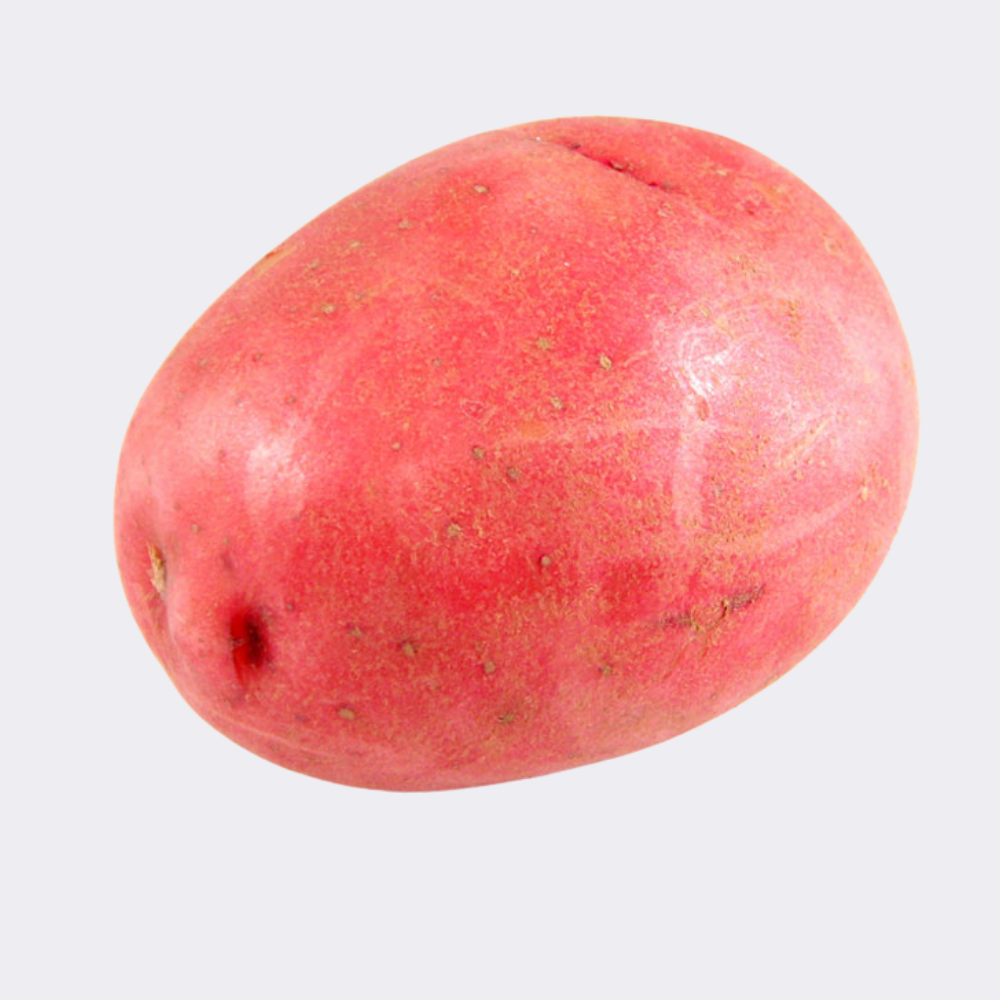 Potato Red - Image 12