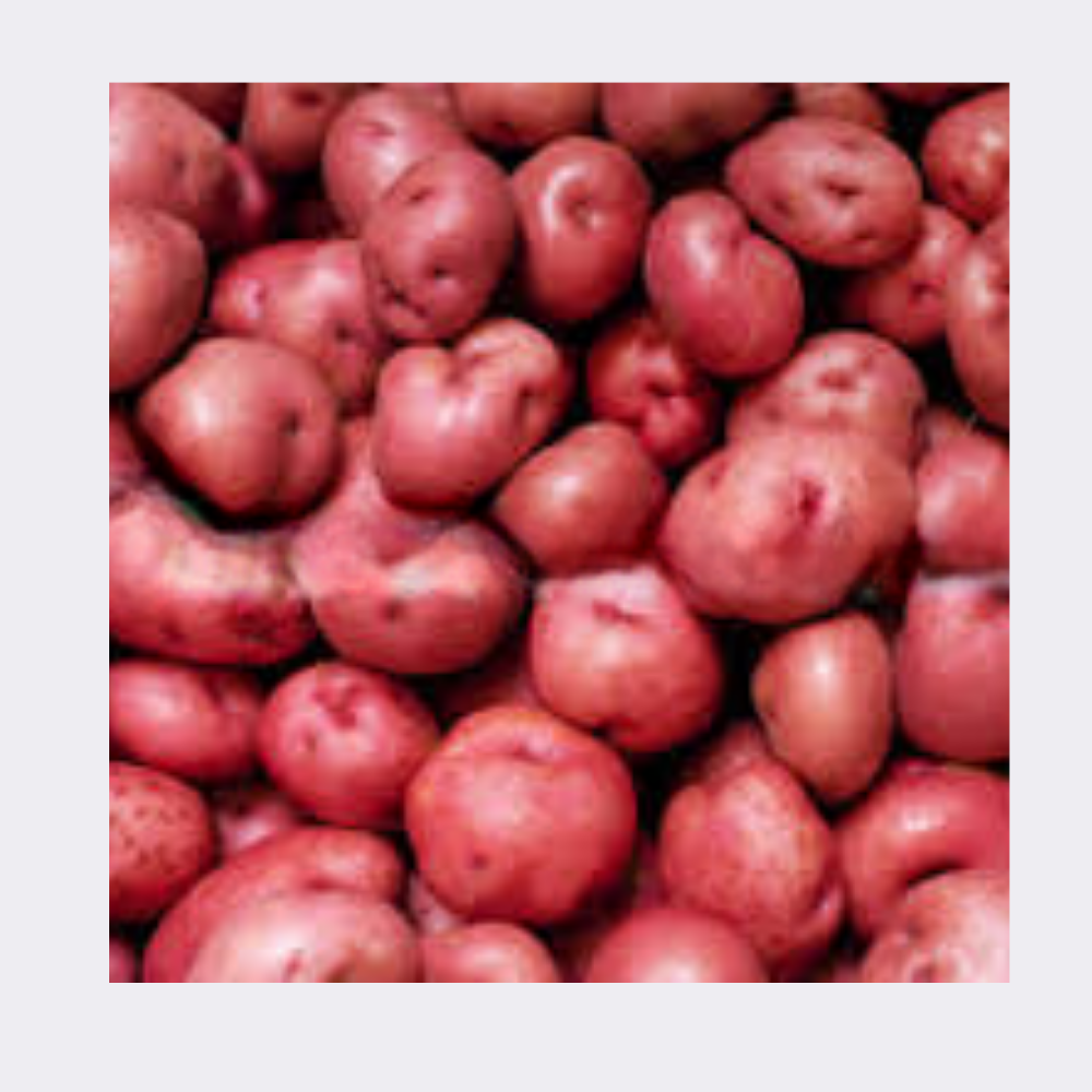 Potato Red - Image 3