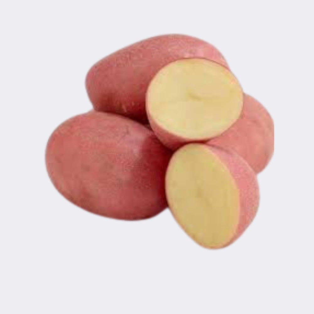 Potato Red - Image 5