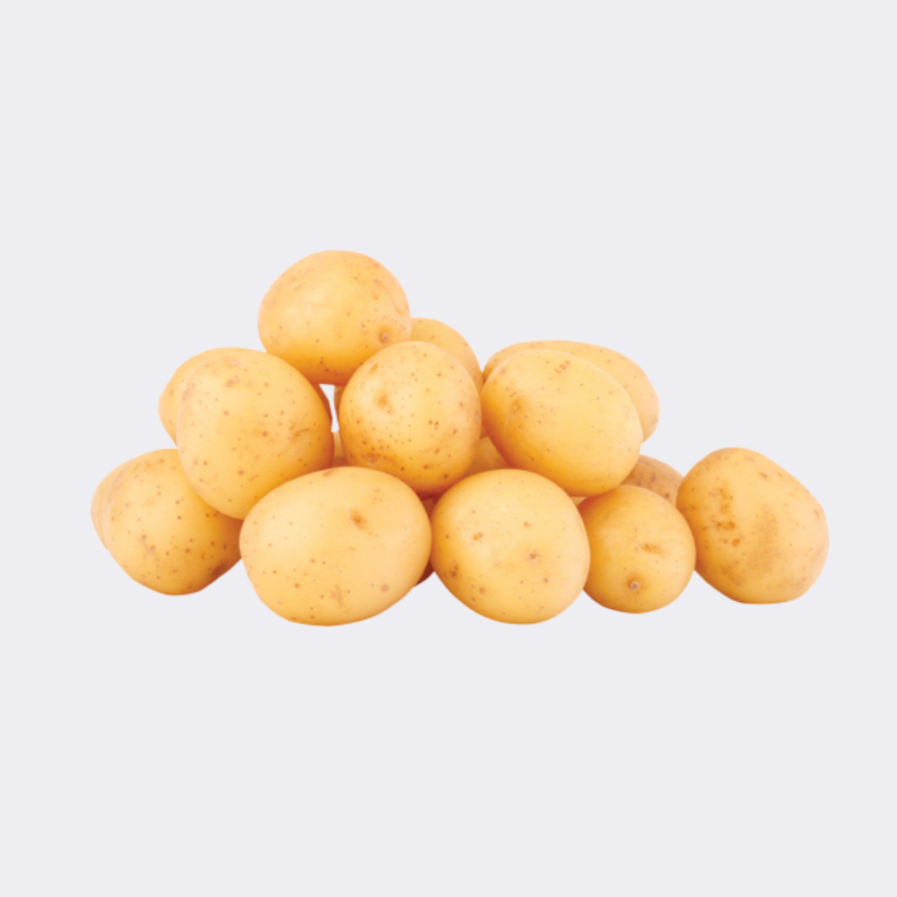 Potato White - Image 12