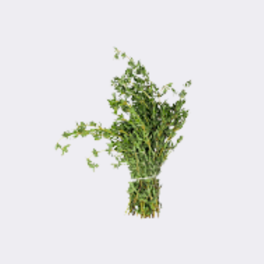Prepack Thyme - Image 2