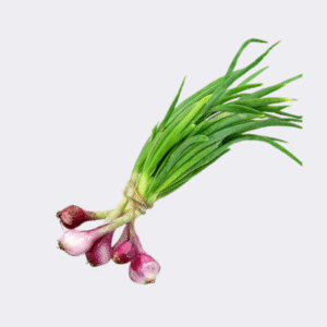 Spring Onion Bunch