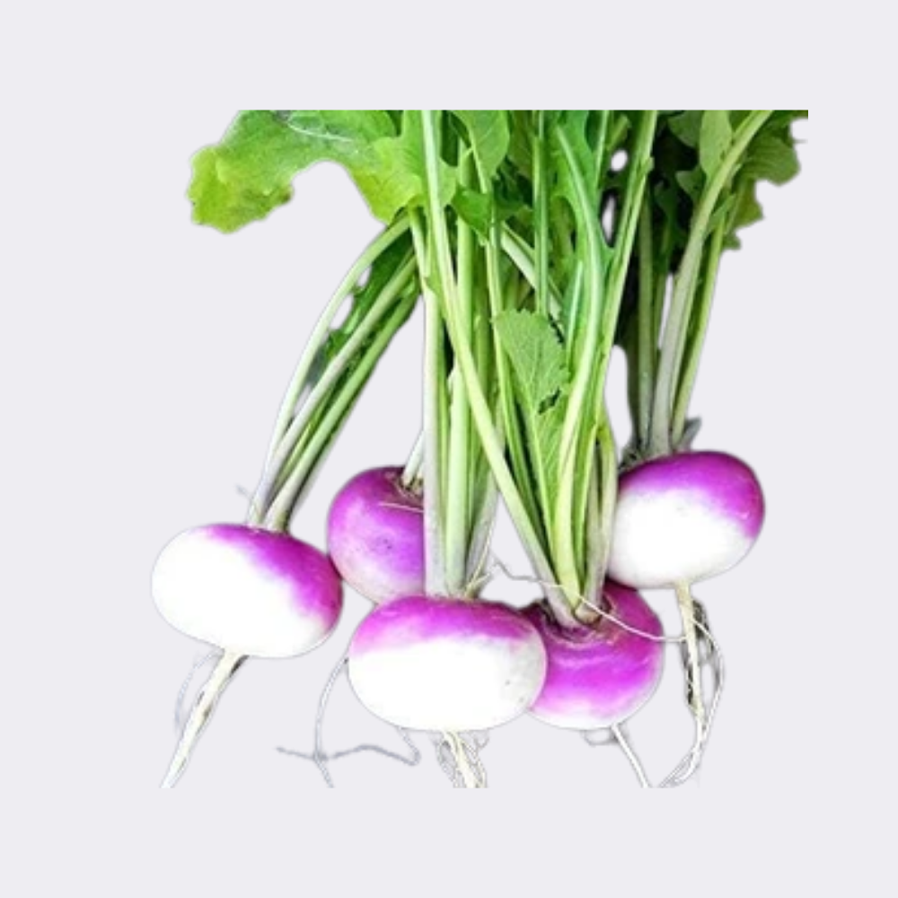Turnip 400gm