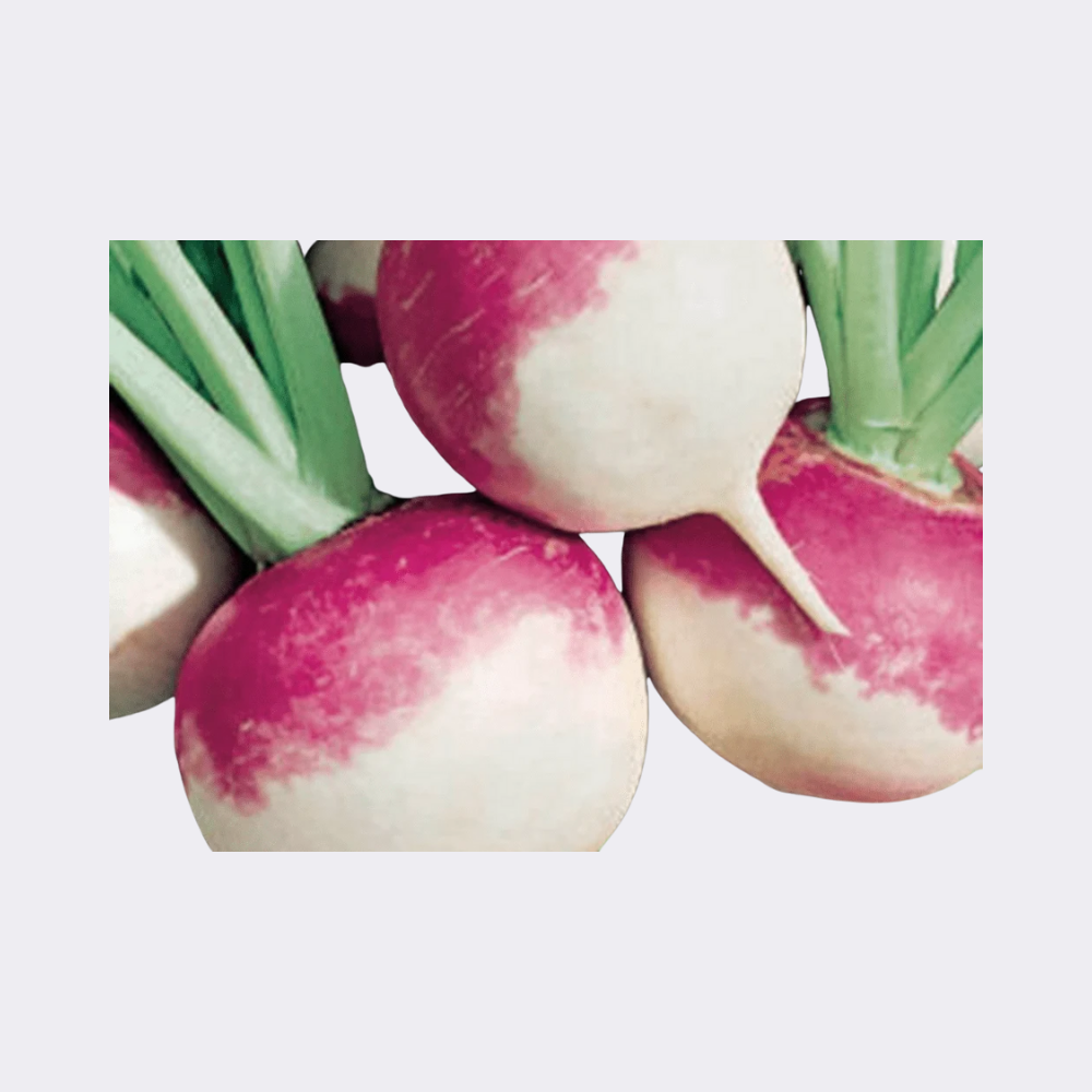 Turnip 400gm - Image 2
